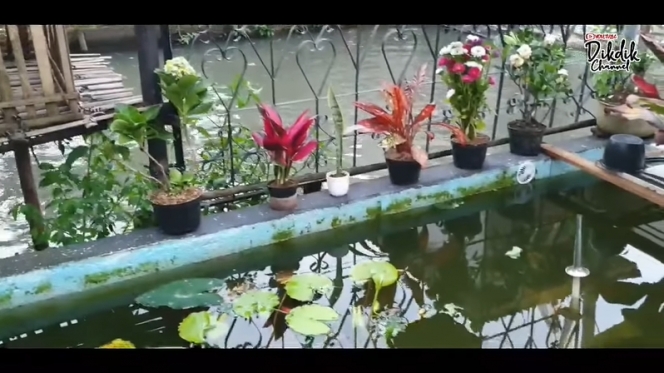 Kang Gobang Preman Pensiun urus empang © berbagai sumber