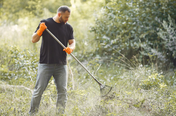 Arti mimpi menyapu © 2022 berbagai sumber