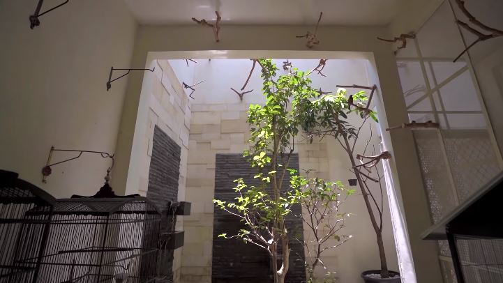 11 Potret rumah Dodit Mulyanto, kandang burung bak hutan tengah kota