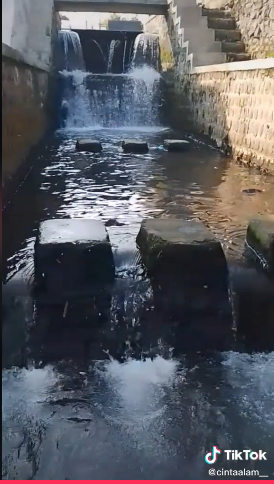  Aksi pemuda bersihkan sampah Tiktok