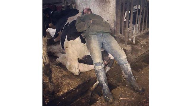 potret posisi orang tidur Berbagai sumber