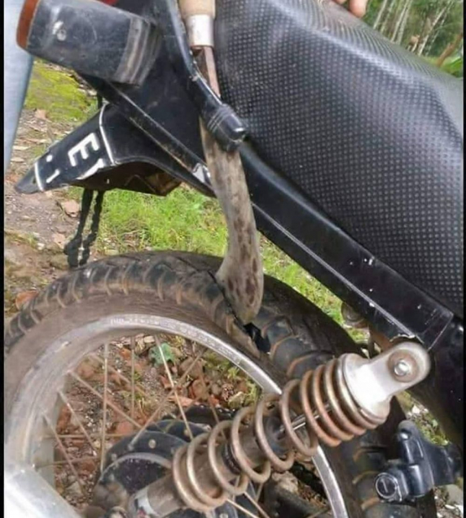 benda malah nyangkut di ban motor © berbagai sumber benda malah nyangkut di ban motor © berbagai sumber