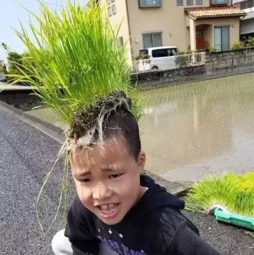 Potret lucu orang pakai rambut palsu  Berbagai sumber