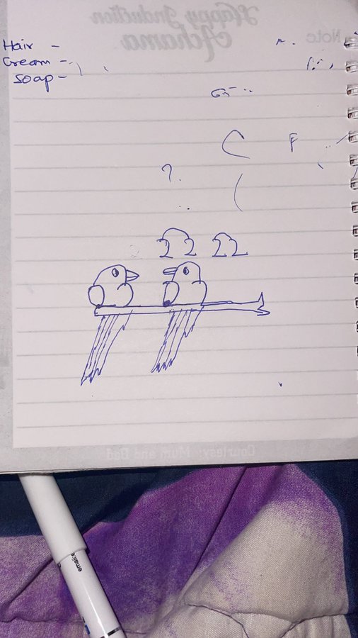 kreasi warganet tiru tutorial burung Berbagai sumber