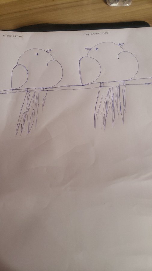 kreasi warganet tiru tutorial burung Berbagai sumber