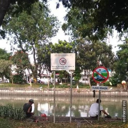 orang nggak bisa tertib nyeleneh © berbagai sumber
