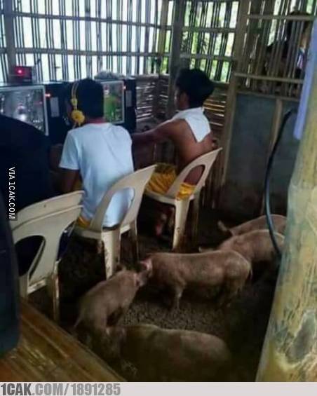 desain kandang bentuknya nyeleneh © berbagai sumber