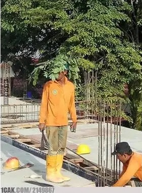 Tingkah kocak orang menghindari panas matahari Berbagai sumber Tingkah kocak orang menghindari panas matahari Berbagai sumber