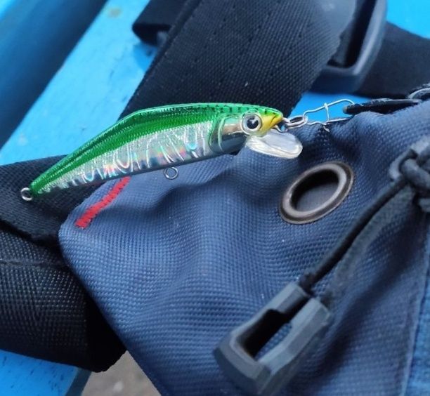 Potret kocak orang pakai aksesori nggak biasa Berbagai sumber Potret kocak orang pakai aksesori nggak biasa Berbagai sumber