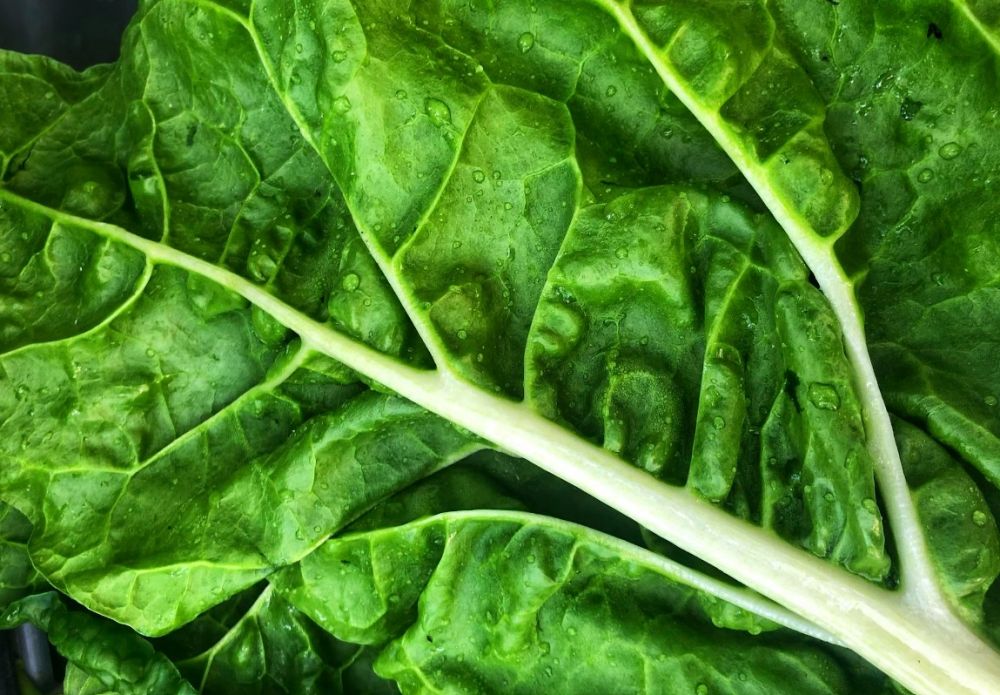 10 Menu sarapan Ricky Cuaca ini rendah kalori, bantu sukseskan diet