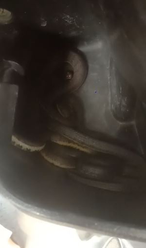 Wanita ini temukan ular di dashboard motor TikTok