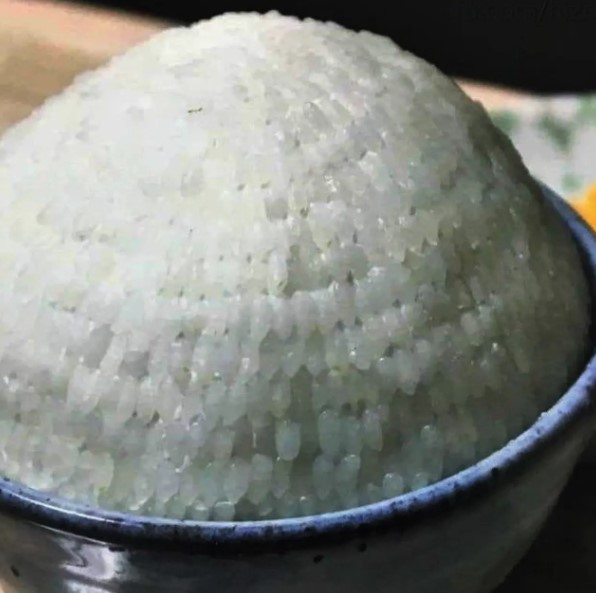 orang kelewat gabut dengan makanan © berbagai sumber