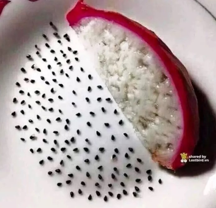 orang kelewat gabut dengan makanan © berbagai sumber