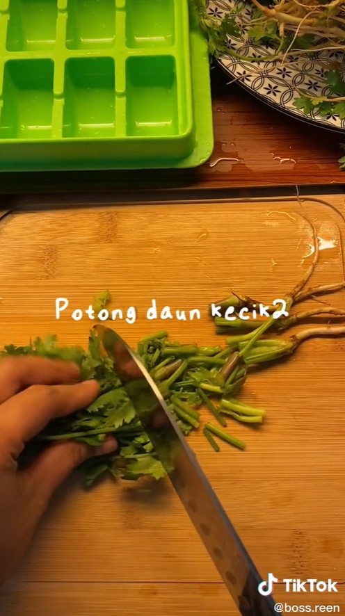 Cara sederhana menyimpan daun ketumbar, awet dan tetap segar