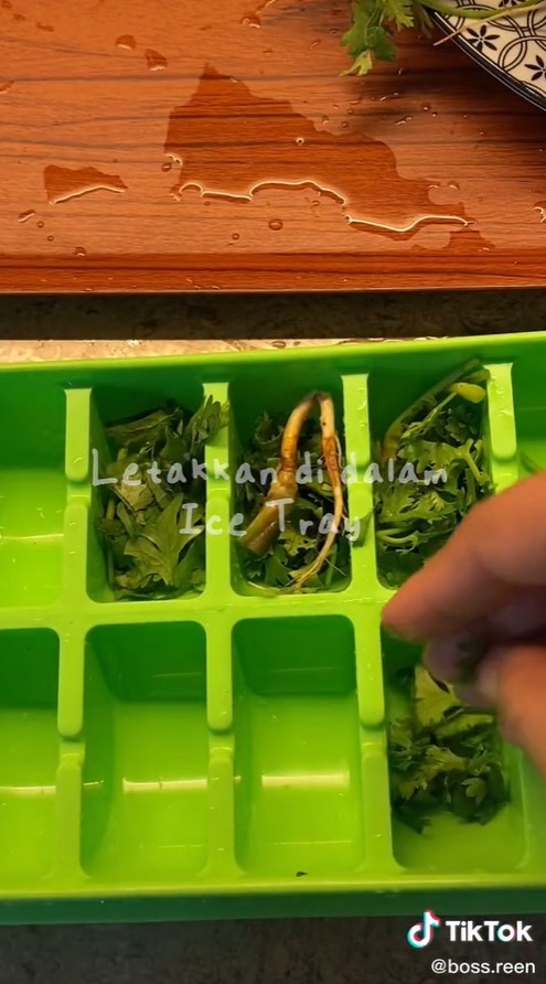 Cara sederhana menyimpan daun ketumbar, awet dan tetap segar