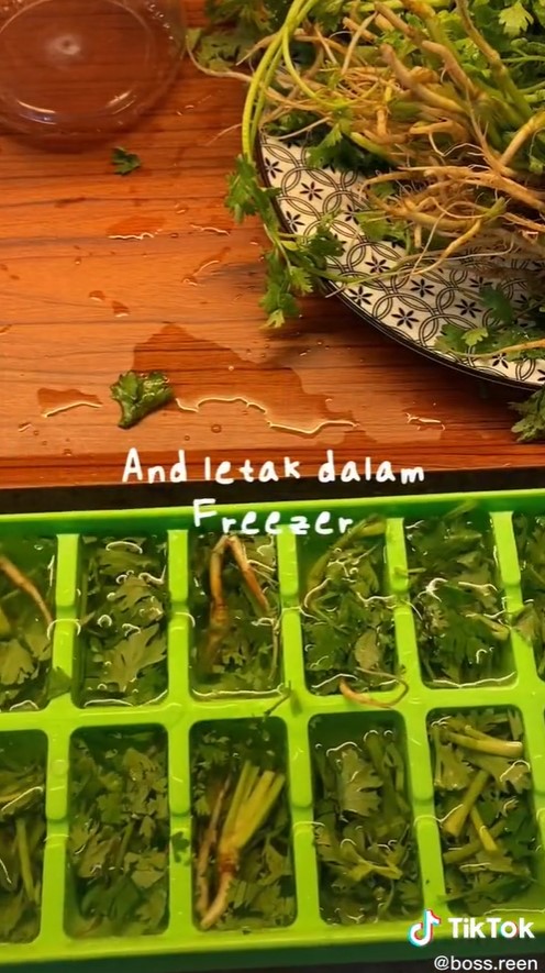 Cara sederhana menyimpan daun ketumbar, awet dan tetap segar