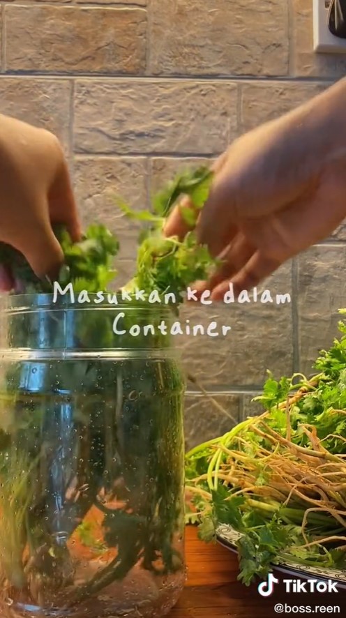 Cara sederhana menyimpan daun ketumbar, awet dan tetap segar