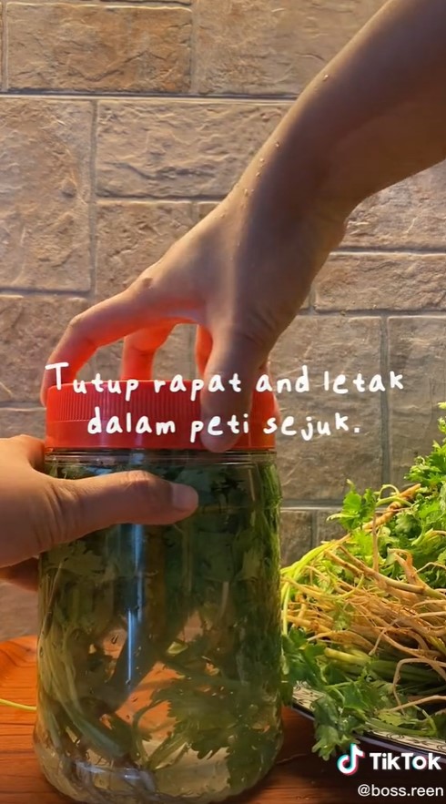 Cara sederhana menyimpan daun ketumbar, awet dan tetap segar