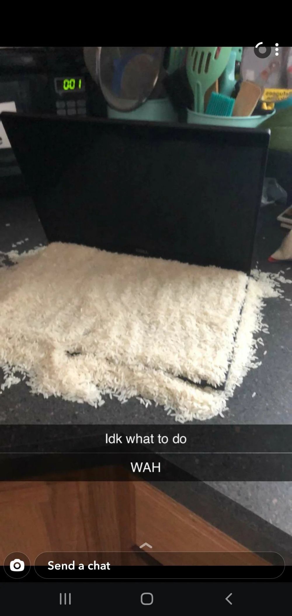 Momen apes laptop ketumpahan makanan © berbagai sumber