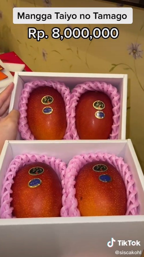 10 Buah dikonsumsi Sisca Kohl ini harganya bikin kantong menjerit