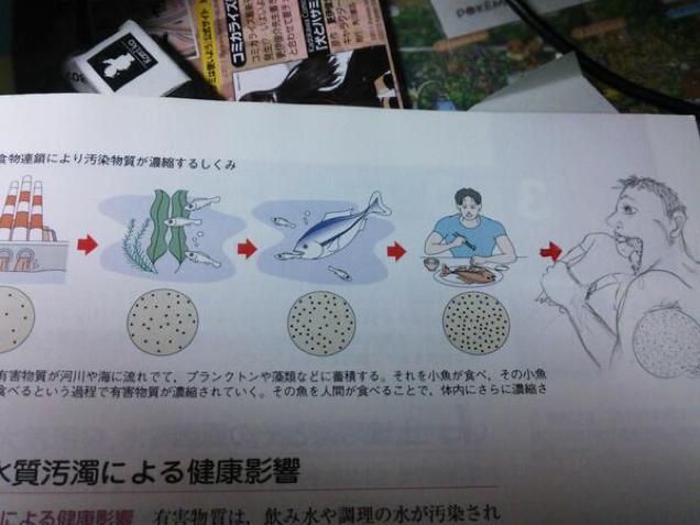 coretan di buku pelajaran © berbagai sumber