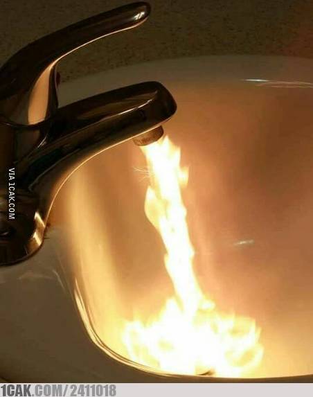 ada benda tak terduga di wastafel © berbagai sumber ada benda tak terduga di wastafel © berbagai sumber