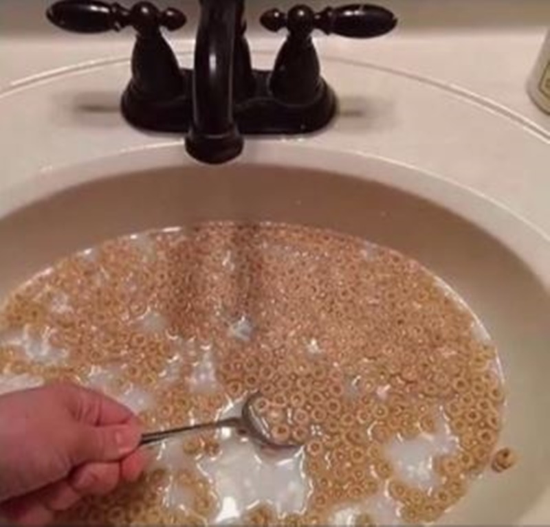 ada benda tak terduga di wastafel © berbagai sumber ada benda tak terduga di wastafel © berbagai sumber