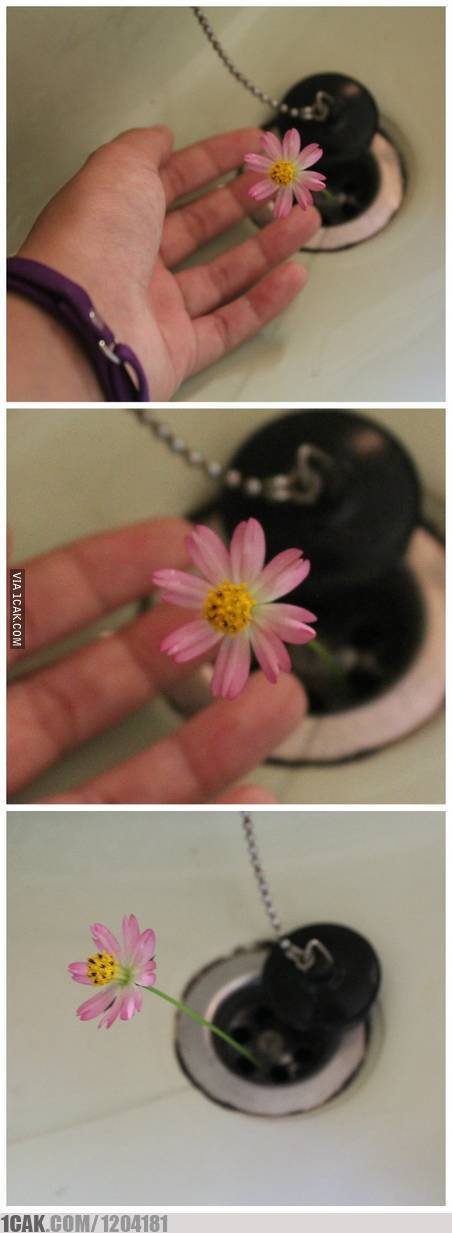 ada benda tak terduga di wastafel © berbagai sumber ada benda tak terduga di wastafel © berbagai sumber