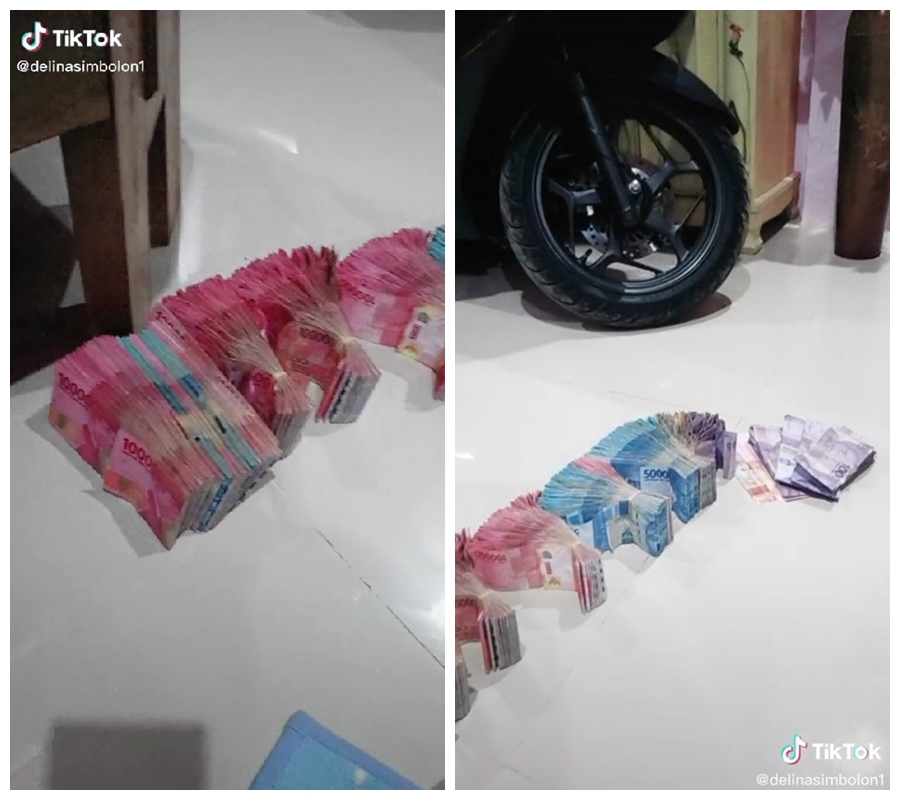 nabung di celengan dapat Rp 70 juta © TikTok/@delinasimbolon1