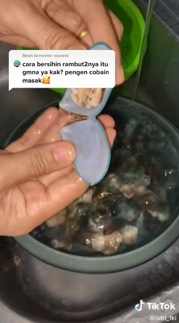 Cara praktis bersihkan rambut halus pada kerang hijau, pakai 2 bahan