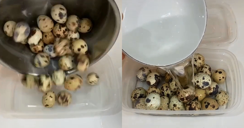 Cara praktis mengupas telur puyuh rebus, hasil mulus dan antiribet