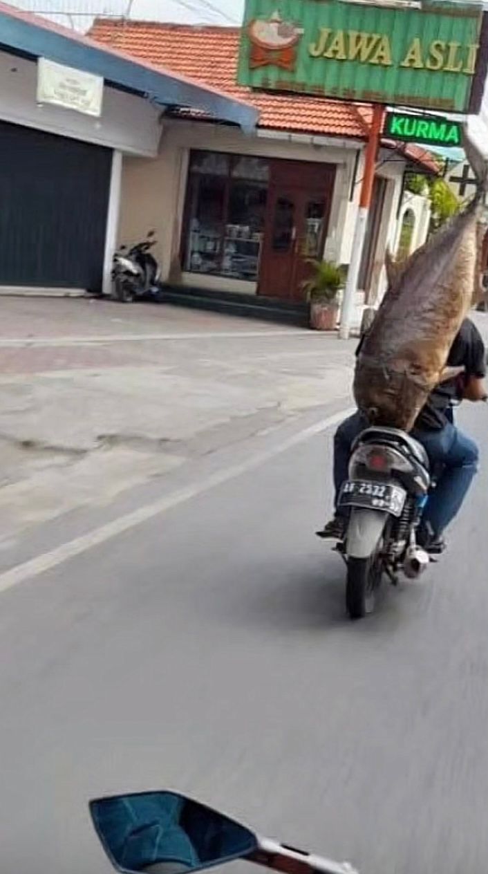 hewan diboncengin motor nyeleneh © berbagai sumber