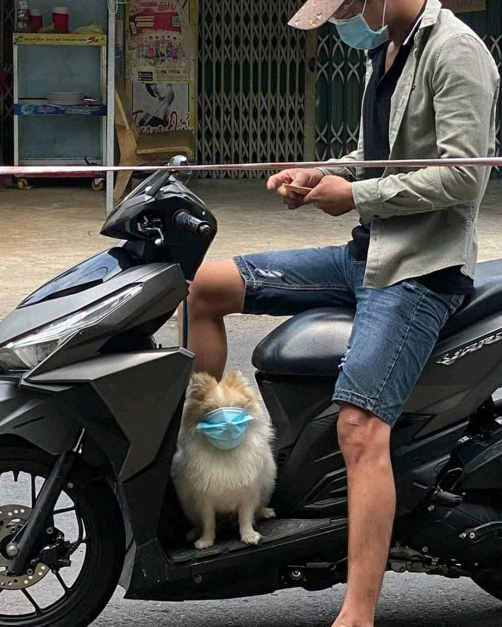 hewan diboncengin motor nyeleneh © berbagai sumber