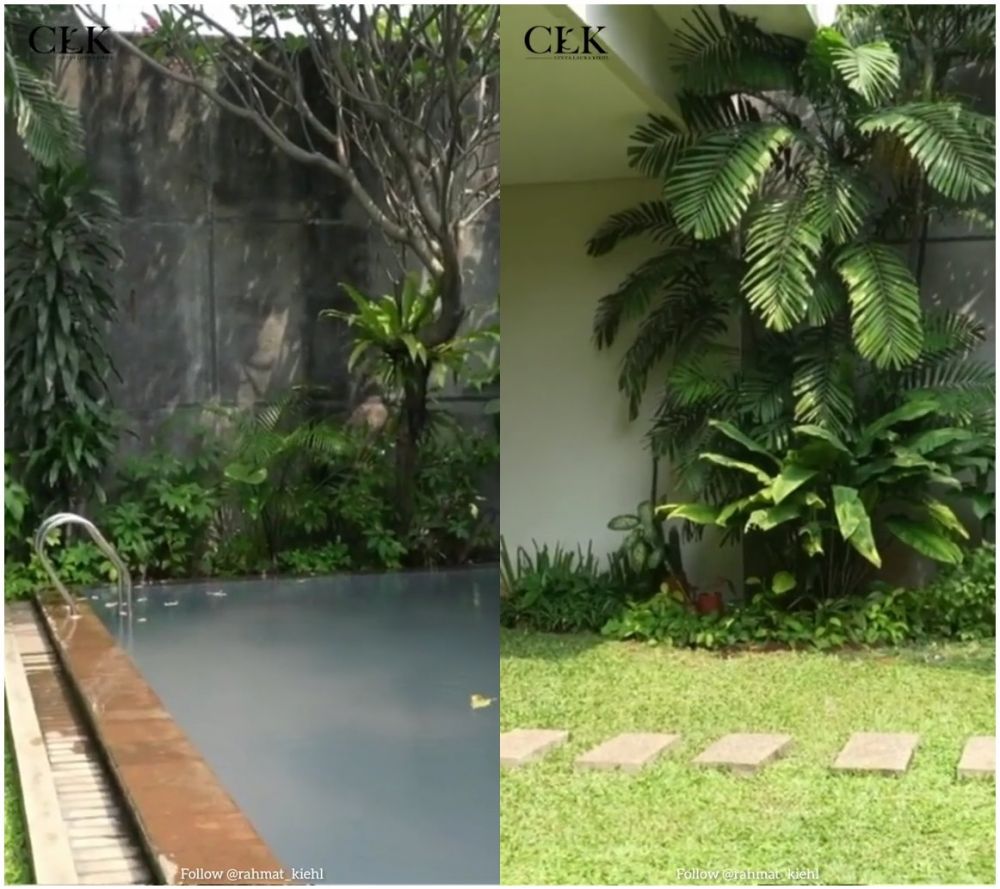 rumah Cinta Laura © TikTok