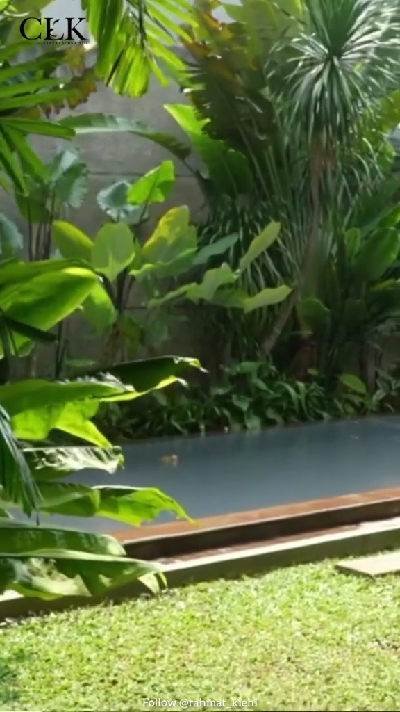 rumah Cinta Laura © TikTok