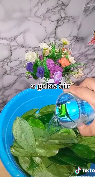 5 Cara bikin cincau hijau ala abang-abang, kenyal dan antigagal