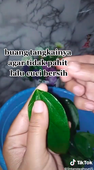 5 Cara bikin cincau hijau ala abang-abang, kenyal dan antigagal