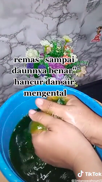 5 Cara bikin cincau hijau ala abang-abang, kenyal dan antigagal