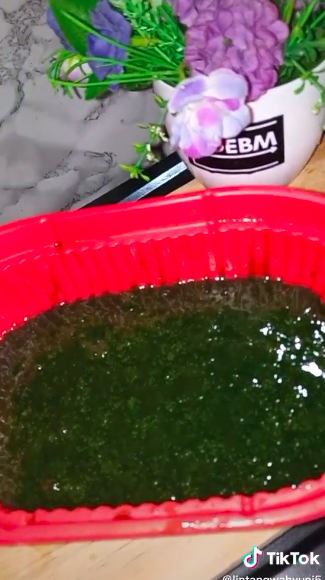 5 Cara bikin cincau hijau ala abang-abang, kenyal dan antigagal