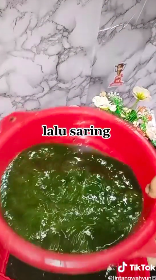 5 Cara bikin cincau hijau ala abang-abang, kenyal dan antigagal