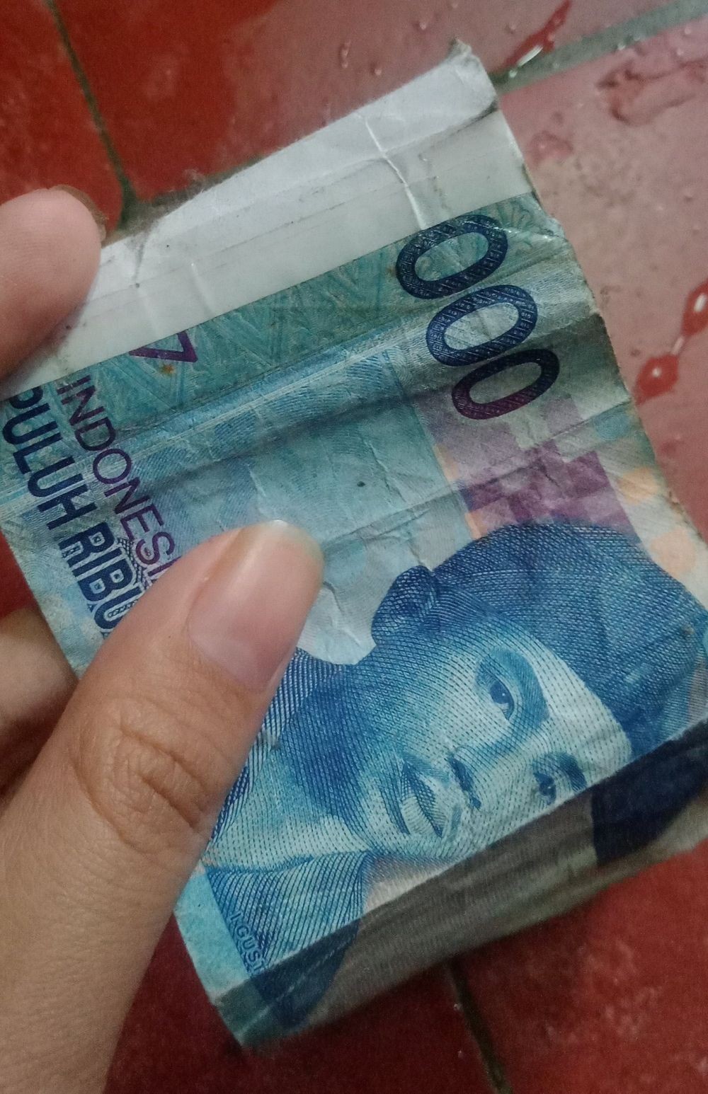 Momen apes dapat uang sobek ditambal Berbagai sumber