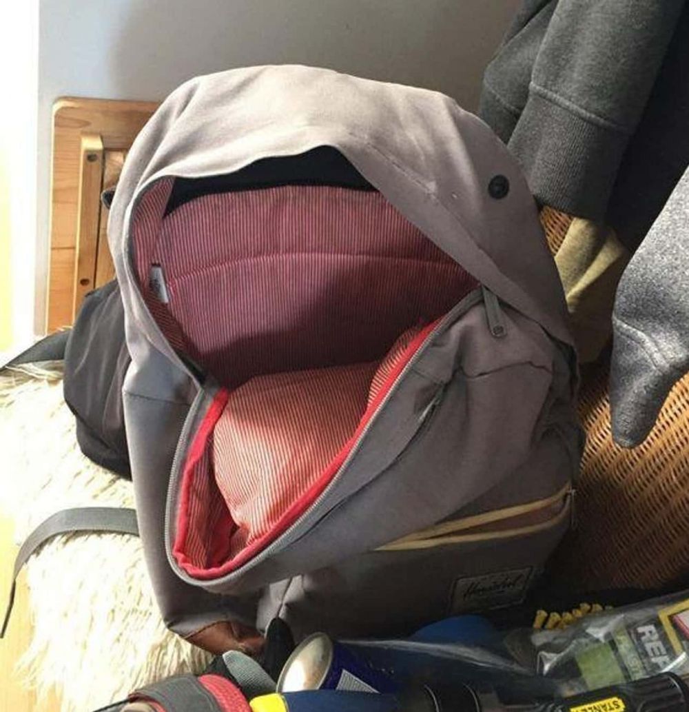 benda nggak sengaja mirip hewan © berbagai sumber