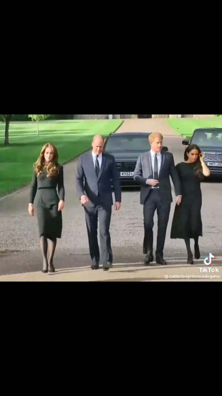 11 Momen reuni Pangeran Harry dan William, tampil bersama istri