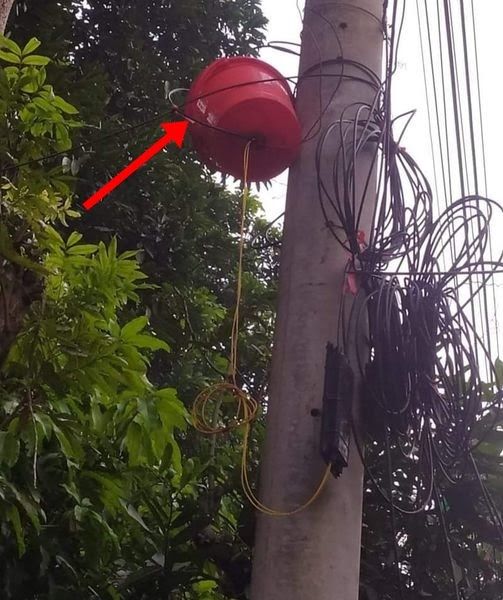 penampakan nyeleneh di tiang listrik Berbagai sumber penampakan nyeleneh di tiang listrik Berbagai sumber