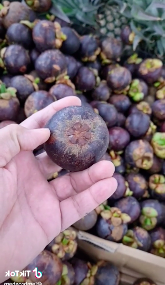Cara praktis memilih buah manggis yang manis dan segar