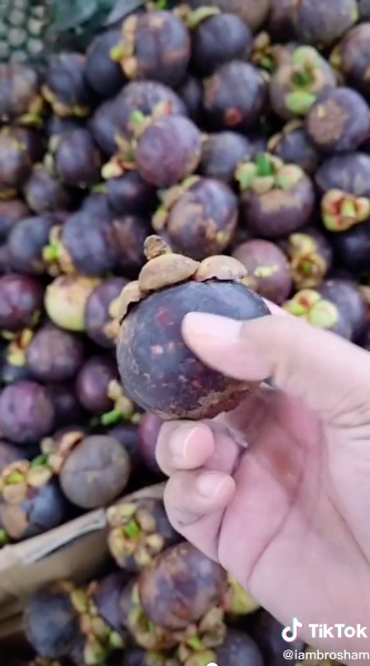 Cara praktis memilih buah manggis yang manis dan segar