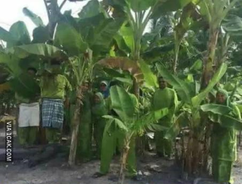 menyatu dengan alam pas banget posenya © berbagai sumber menyatu dengan alam pas banget posenya © berbagai sumber