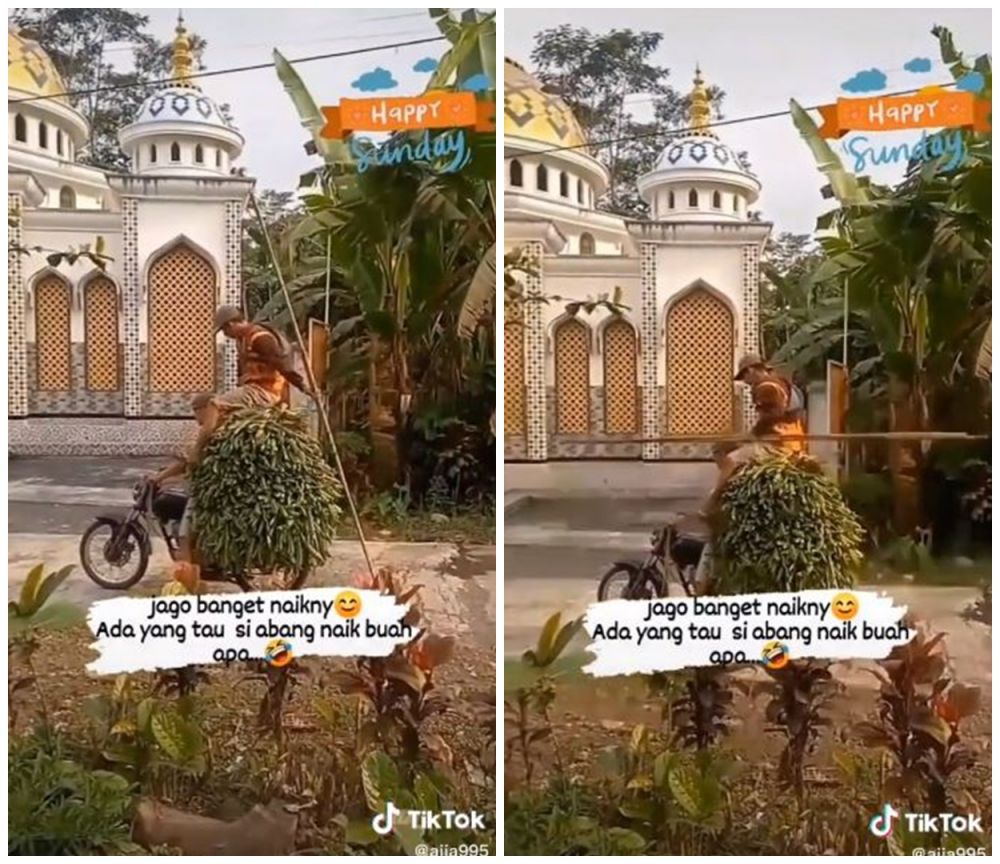 aksi naik ke motor nyeleneh © berbagai sumber