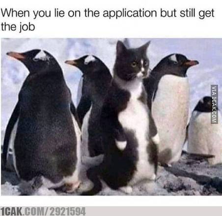 kebetulan nyambung sama background lucu © berbagai sumber