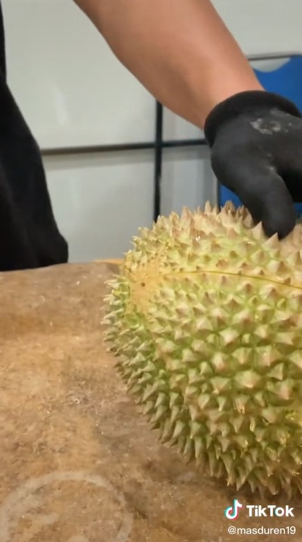 Cara mengupas durian lebih cepat dan tidak melukai tangan